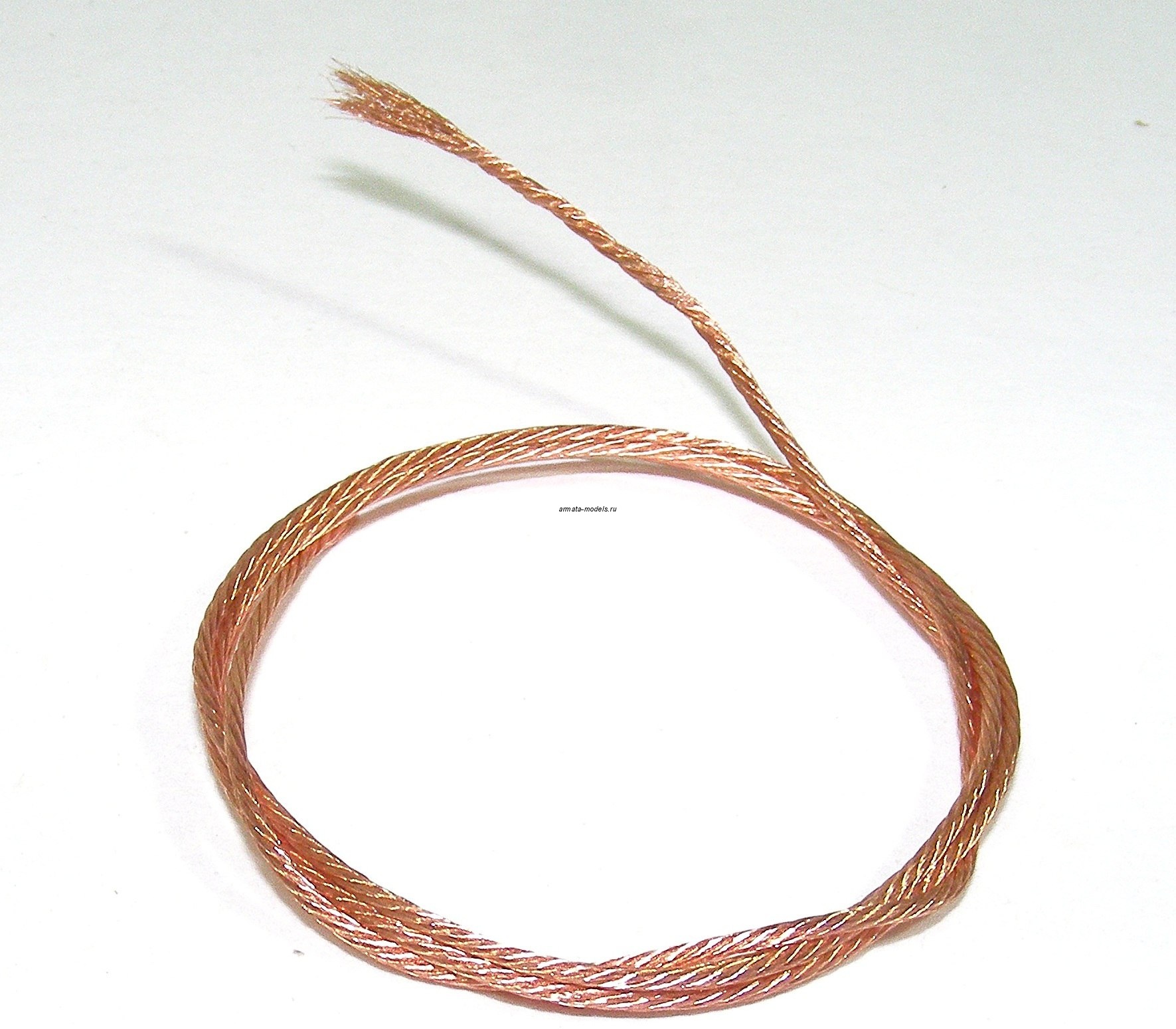 000111 Трос (диаметр 0,75 мм, длина 50 см)